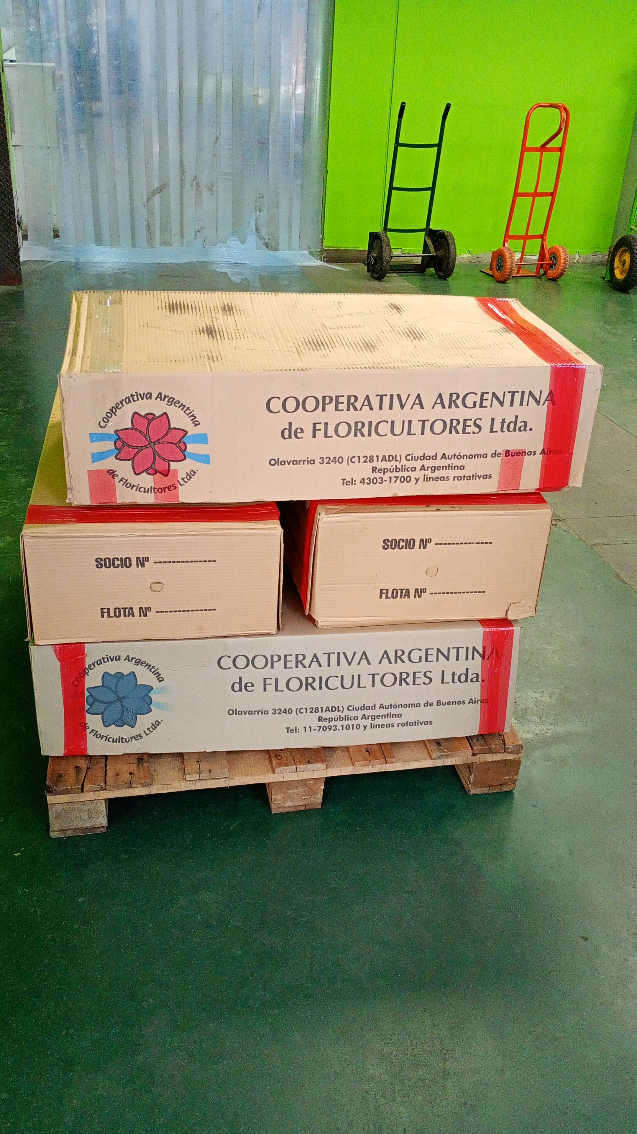envios y expresos